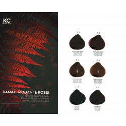 TINTURA capelli SENZA AMMONIACA PERFECTA KC KERATIN COLOR FAIPA tinta 100ml TINTURA capelli SENZA AMMONIACA PERFECTA KC KERATIN COLOR FAIPA tinta 100ml